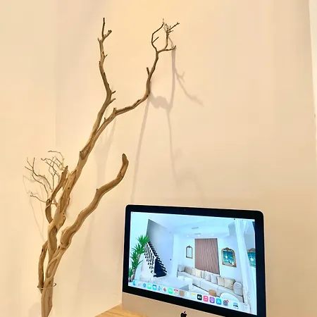 Tirreno Marina di Massa